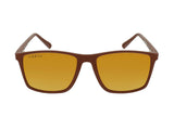 Gold poalrized sunglasses Coral Eyewear