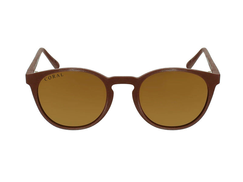 Brown Albacore Polarised Sunglasses Gold Lens